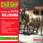 MOLLEBAMBA VENTA DE EPPS